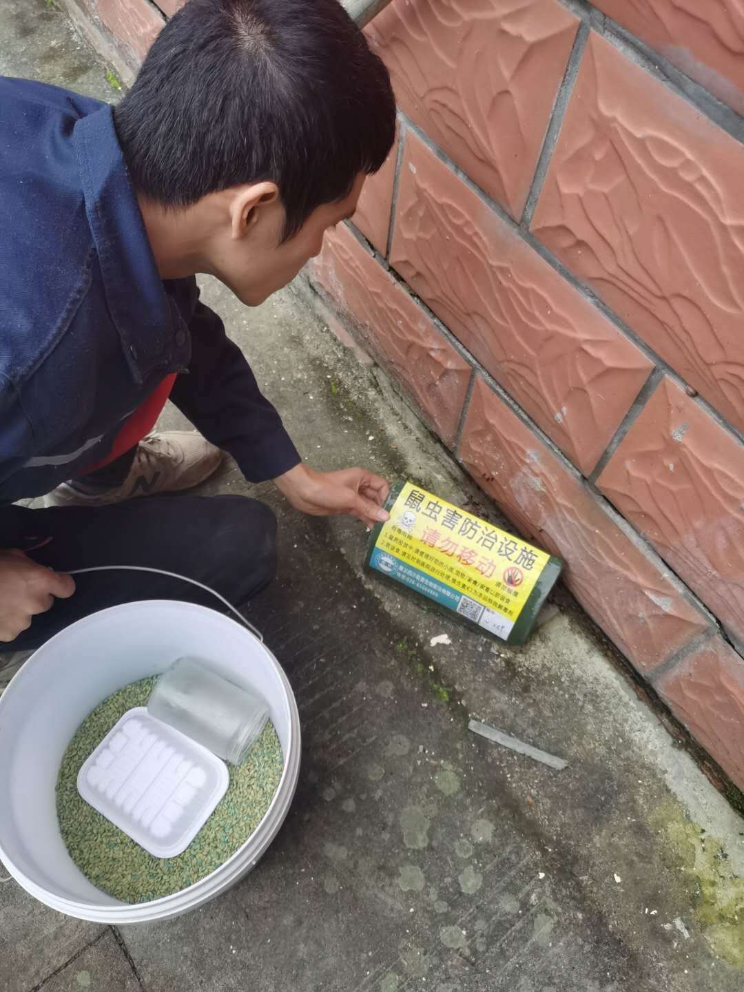 南充除四害